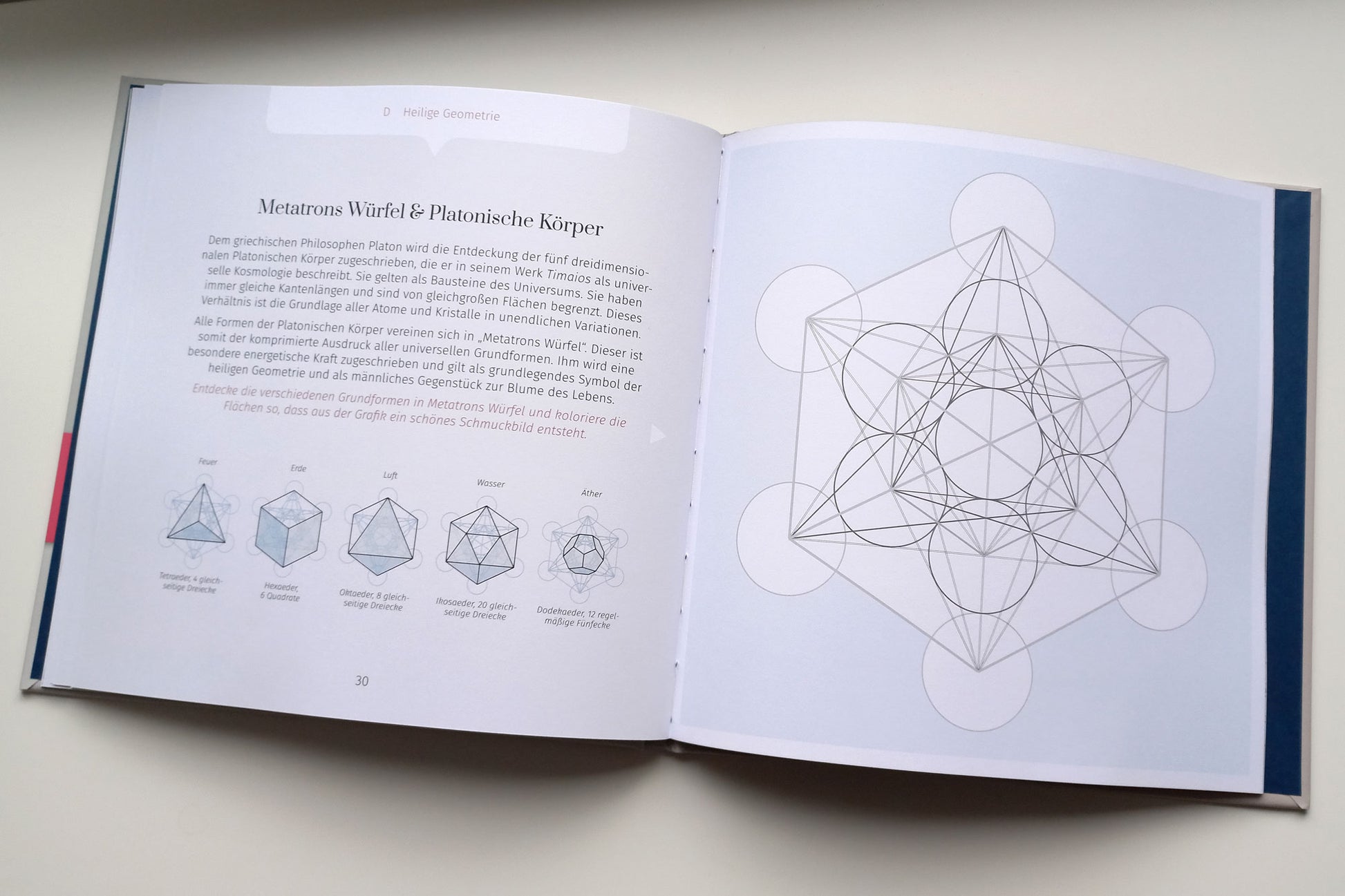 Limitierter Erstdruck: Mal - und Lernbuch "Die Magie des goldenen Schnitts", Hardcover, 40 Seiten - BONANI Design Buch
